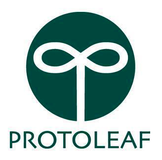 株式会社プロトリーフ